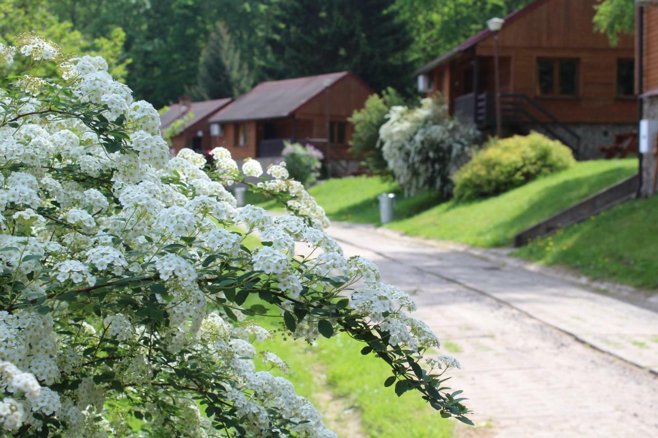 Zloty Potok Resort 3* Zloty Potok